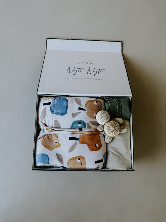 $120 Boy Gift Set